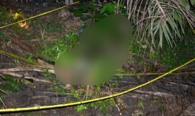 Pelaku Pembunuhan Di Kecamatan Kambyan Terungkap