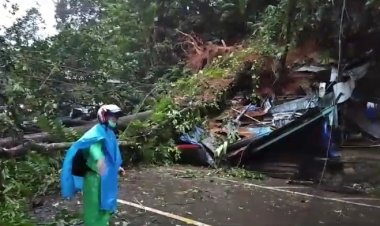 Warung Warga Tertimbun Akibat Longsor Di Perbatasan Kalsel-Kaltim