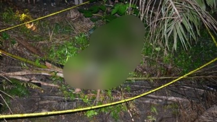 Pelaku Pembunuhan Di Kecamatan Kambyan Terungkap