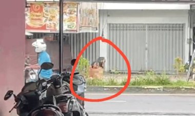 Geger !! Di Duga ODGJ Sedang Bercinta Di tepi Jalan Pangkalan Bun